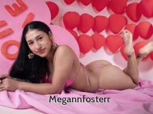 Megannfosterr