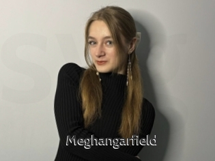 Meghangarfield