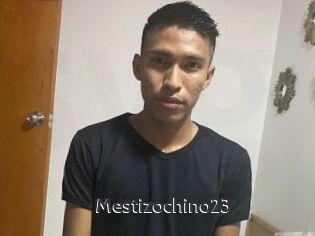 Mestizochino23