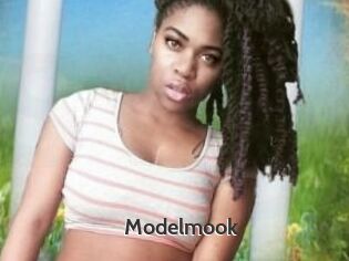 Modelmook