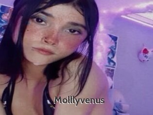 Molllyvenus