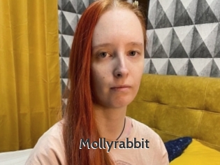 Mollyrabbit