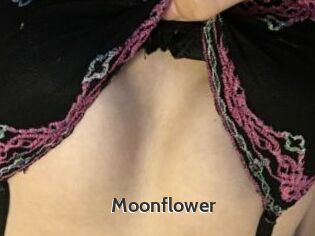 Moonflower