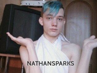 NATHAN_SPARKS