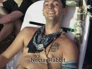 Nectar_Rabbit