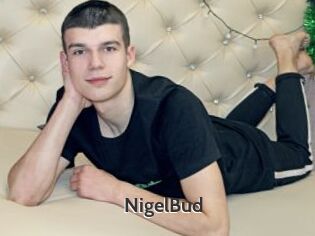 NigelBud