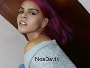 NoaDavis