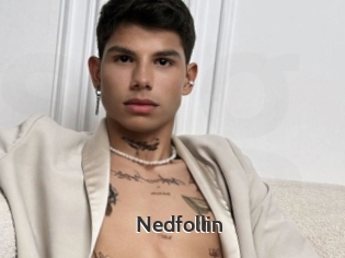 Nedfollin