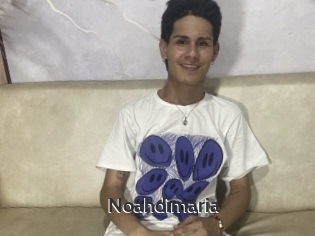 Noahdimaria