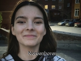 Noreenborer