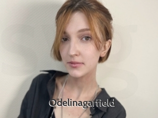 Odelinagarfield