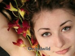 Orchidwild