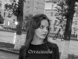 Orvacaudle