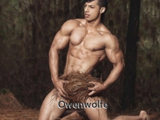 Owenwolfe