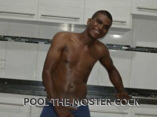 POOL_THE_MOSTER_COCK