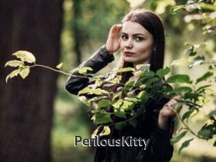 Perilous_Kitty