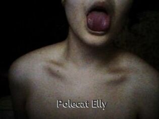 Polecat_Elly