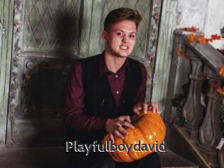 Playfulboydavid