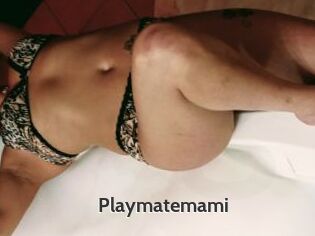 Playmatemami