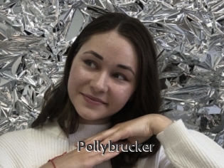 Pollybrucker