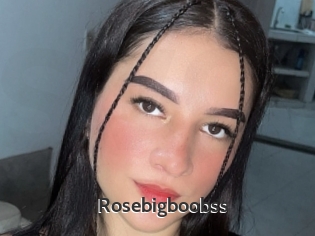 Rosebigboobss