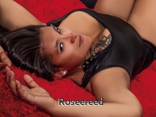 Roseereed