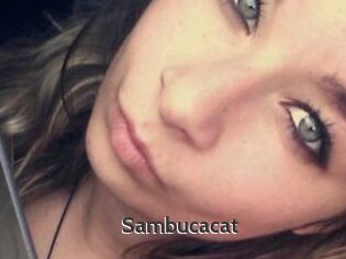 Sambucacat