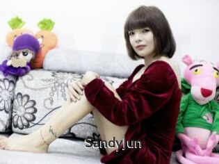 SandyJun