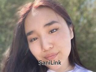 SaniLink