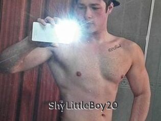 ShyLittleBoy20