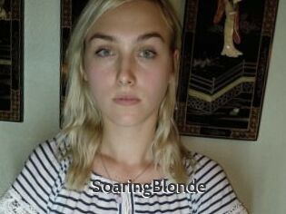 SoaringBlonde