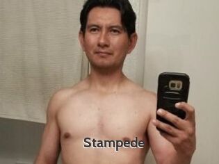 Stampede