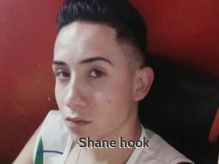 Shane_hook