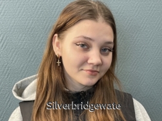 Silverbridgewate