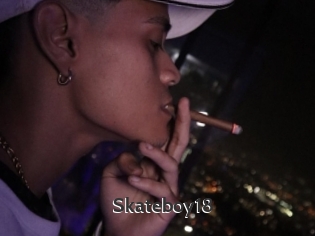 Skateboy18