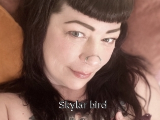 Skylar_bird