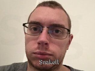 Snakefl