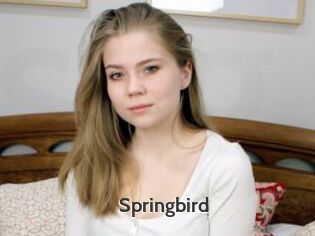 Springbird