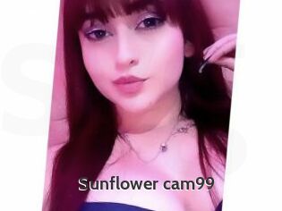 Sunflower_cam99