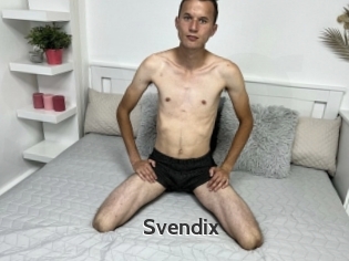 Svendix