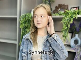 Synnefugler