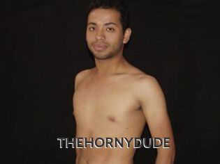 THEHORNYDUDE