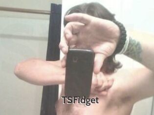 TSFidget