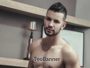 TeoBanner