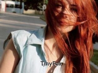 TinyFox