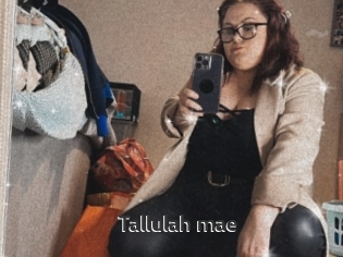 Tallulah_mae