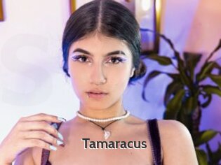 Tamaracus