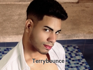 Terrybounce