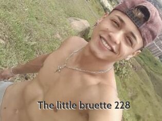 The_little_bruette_228