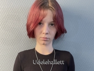 Udelehallett